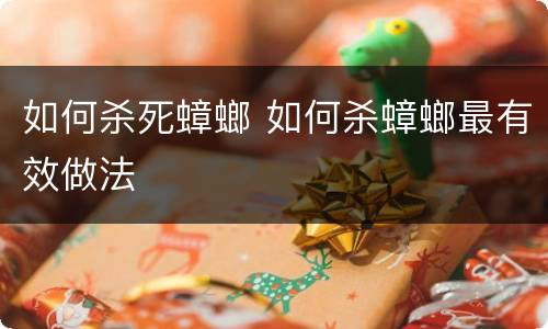 如何杀死蟑螂 如何杀蟑螂最有效做法