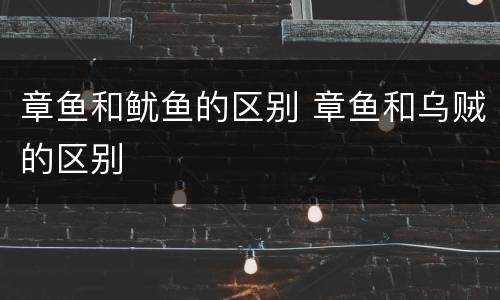 章鱼和鱿鱼的区别 章鱼和乌贼的区别