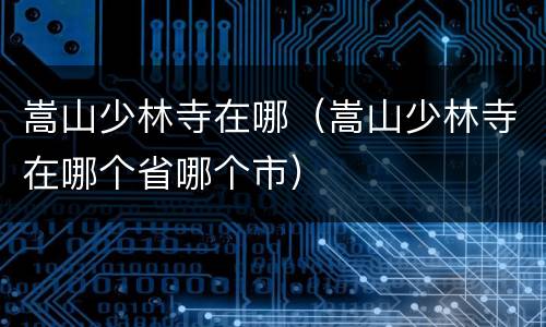 嵩山少林寺在哪（嵩山少林寺在哪个省哪个市）