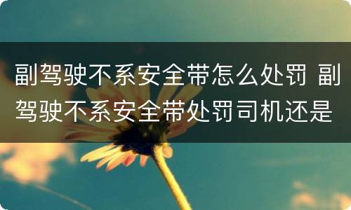 副驾驶不系安全带怎么处罚 副驾驶不系安全带处罚司机还是乘客