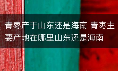 青枣产于山东还是海南 青枣主要产地在哪里山东还是海南