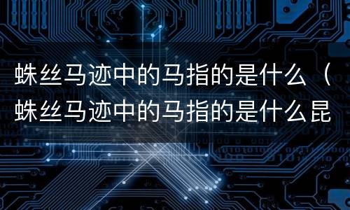 蛛丝马迹中的马指的是什么（蛛丝马迹中的马指的是什么昆虫）