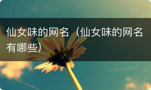 仙女味的网名（仙女味的网名有哪些）