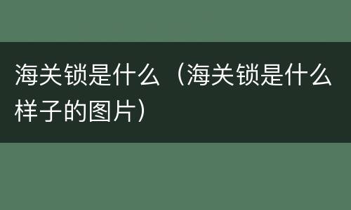 海关锁是什么（海关锁是什么样子的图片）