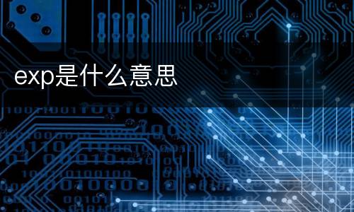 exp是什么意思