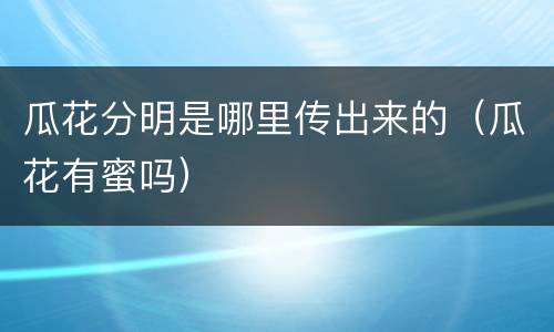 瓜花分明是哪里传出来的（瓜花有蜜吗）