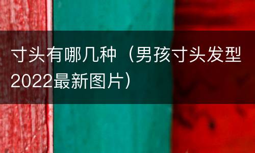 寸头有哪几种（男孩寸头发型2022最新图片）