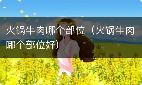 火锅牛肉哪个部位（火锅牛肉哪个部位好）
