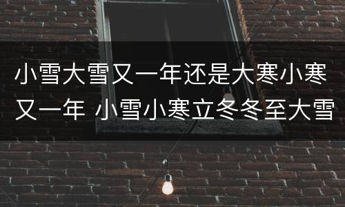 小雪大雪又一年还是大寒小寒又一年 小雪小寒立冬冬至大雪大寒