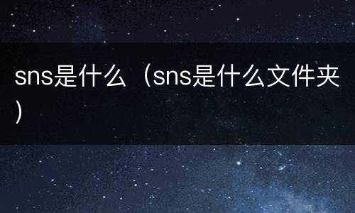 sns是什么（sns是什么文件夹）