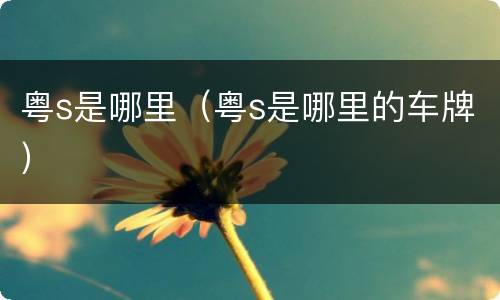 粤s是哪里（粤s是哪里的车牌）