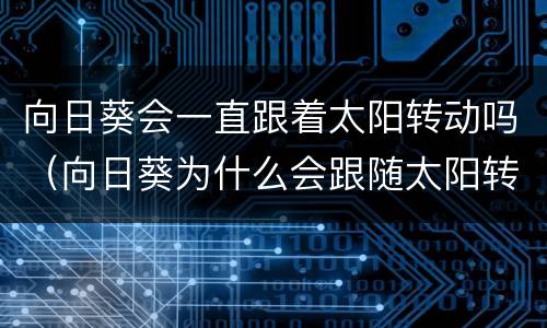 向日葵会一直跟着太阳转动吗（向日葵为什么会跟随太阳转动）