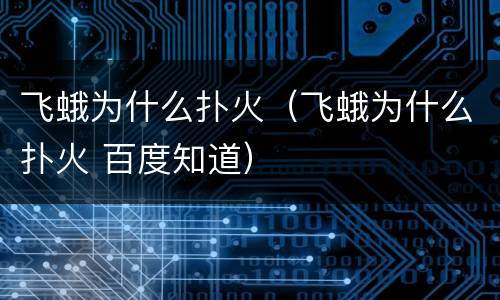 飞蛾为什么扑火（飞蛾为什么扑火 百度知道）