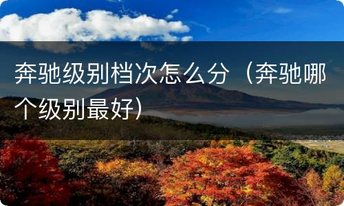 奔驰级别档次怎么分（奔驰哪个级别最好）