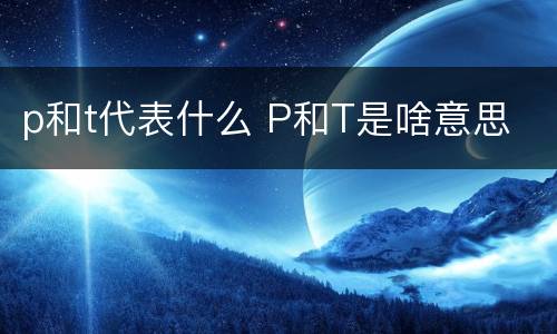 p和t代表什么 P和T是啥意思