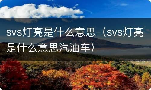 svs灯亮是什么意思（svs灯亮是什么意思汽油车）