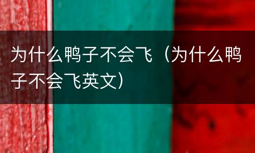 为什么鸭子不会飞（为什么鸭子不会飞英文）