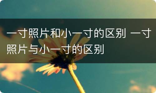 一寸照片和小一寸的区别 一寸照片与小一寸的区别