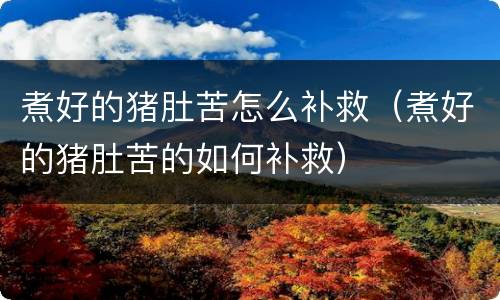 煮好的猪肚苦怎么补救（煮好的猪肚苦的如何补救）