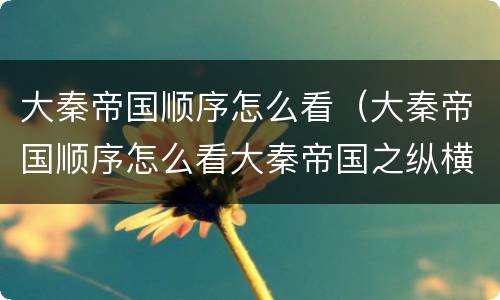 大秦帝国顺序怎么看（大秦帝国顺序怎么看大秦帝国之纵横）