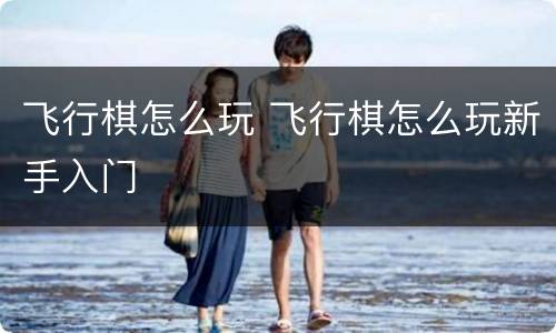 飞行棋怎么玩 飞行棋怎么玩新手入门