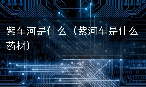 紫车河是什么（紫河车是什么药材）