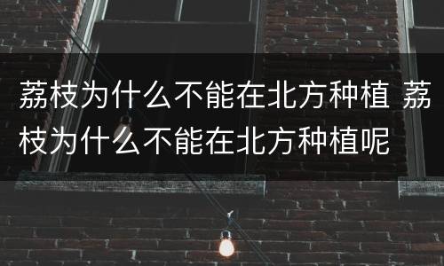 荔枝为什么不能在北方种植 荔枝为什么不能在北方种植呢