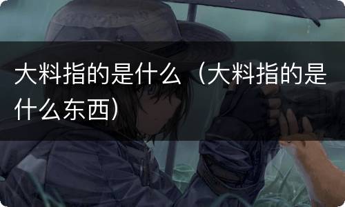 大料指的是什么（大料指的是什么东西）
