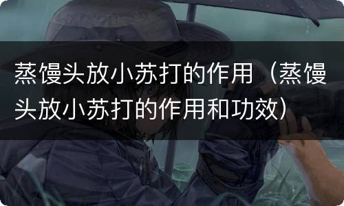 蒸馒头放小苏打的作用（蒸馒头放小苏打的作用和功效）