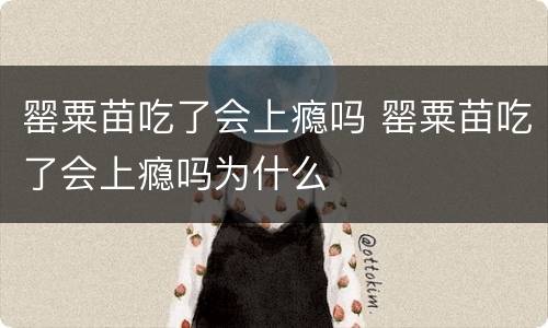 罂粟苗吃了会上瘾吗 罂粟苗吃了会上瘾吗为什么