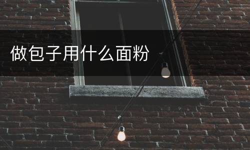 做包子用什么面粉