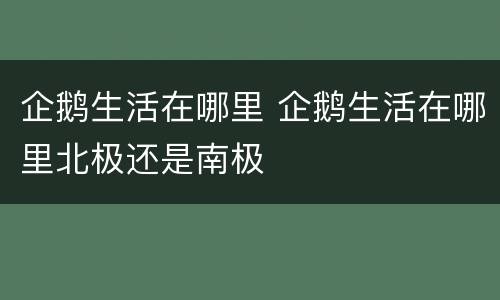 企鹅生活在哪里 企鹅生活在哪里北极还是南极
