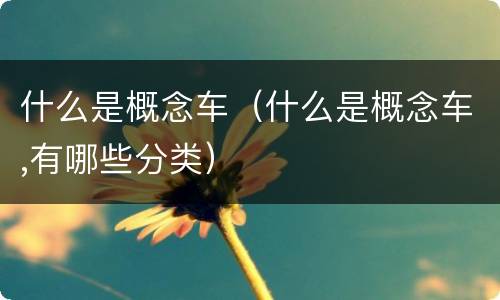 什么是概念车（什么是概念车,有哪些分类）