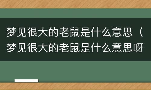梦见很大的老鼠是什么意思（梦见很大的老鼠是什么意思呀）
