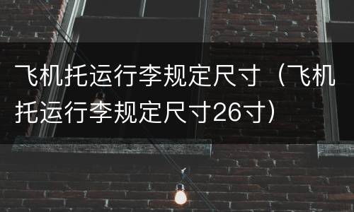 飞机托运行李规定尺寸（飞机托运行李规定尺寸26寸）
