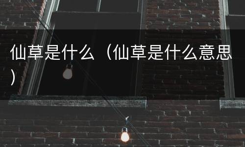 仙草是什么（仙草是什么意思）