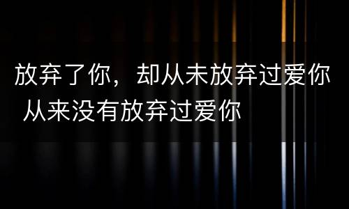 放弃了你，却从未放弃过爱你 从来没有放弃过爱你