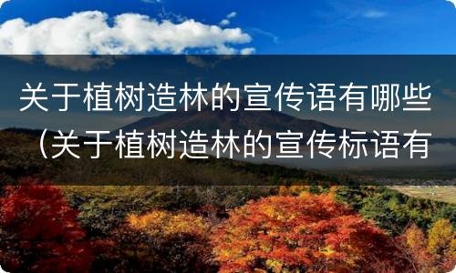 关于植树造林的宣传语有哪些（关于植树造林的宣传标语有哪些）