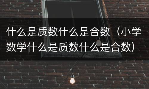 什么是质数什么是合数（小学数学什么是质数什么是合数）