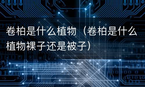 卷柏是什么植物（卷柏是什么植物裸子还是被子）