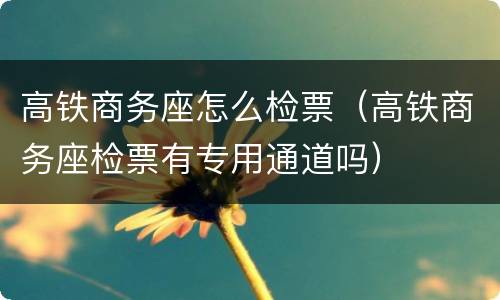 高铁商务座怎么检票（高铁商务座检票有专用通道吗）