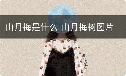 山月梅是什么 山月梅树图片