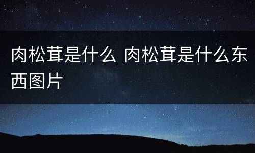 肉松茸是什么 肉松茸是什么东西图片