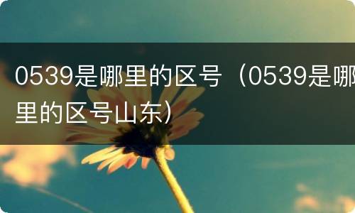 0539是哪里的区号（0539是哪里的区号山东）