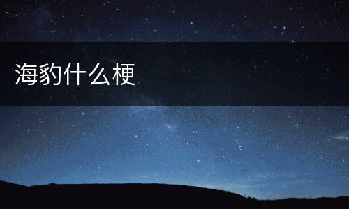 海豹什么梗