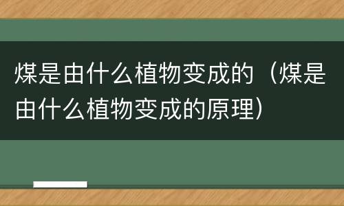 煤是由什么植物变成的（煤是由什么植物变成的原理）