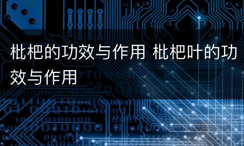 枇杷的功效与作用 枇杷叶的功效与作用