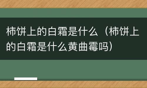 柿饼上的白霜是什么（柿饼上的白霜是什么黄曲霉吗）