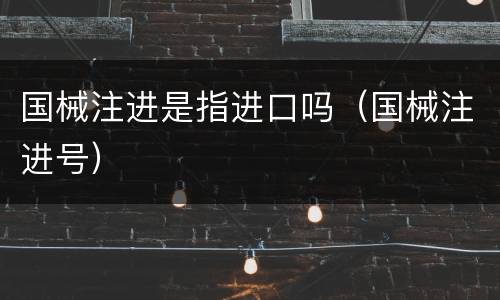 国械注进是指进口吗（国械注进号）