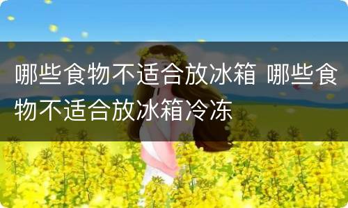 哪些食物不适合放冰箱 哪些食物不适合放冰箱冷冻